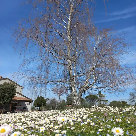 Ettaro Verde Appartement *