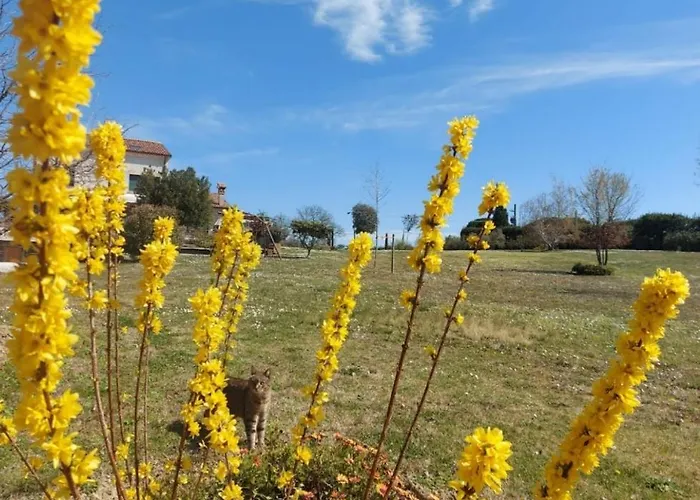 Appartement Ettaro Verde *