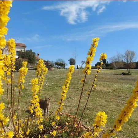 Διαμέρισμα Ettaro Verde *