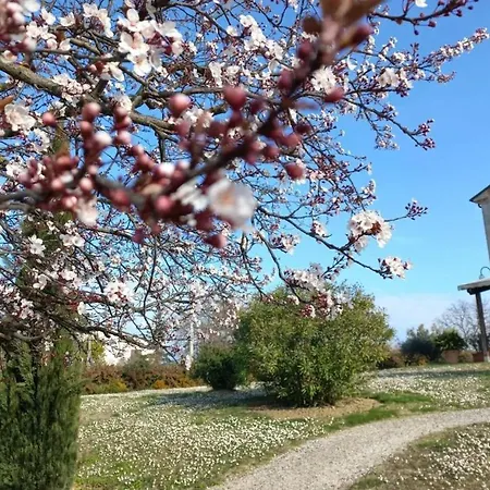 Ettaro Verde Διαμέρισμα Ρίμινι