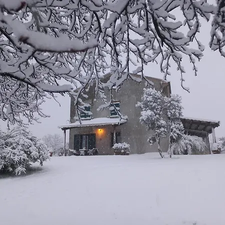 Διαμέρισμα Ettaro Verde Ρίμινι