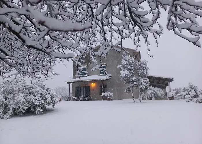 Apartment Ettaro Verde Rimini