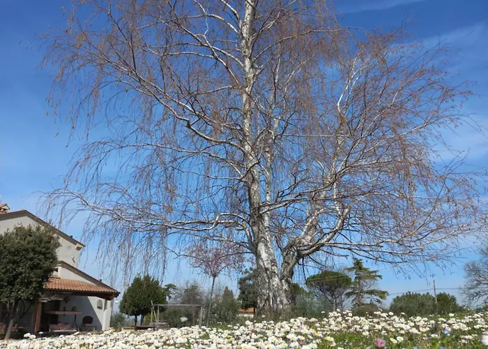 Ettaro Verde Apartment *