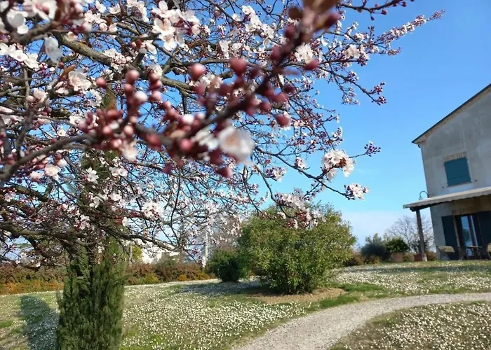 Ettaro For Holidays Lägenhet Rimini