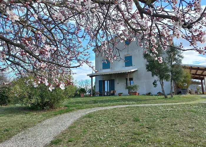 Ettaro For Holidays * Rimini